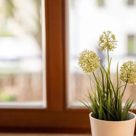 Grosse Altstadtwohnung Im Zentrum Mit Balkon - Super Lage Apartament *