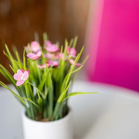 Grosse Altstadtwohnung Im Zentrum Mit Balkon - Super Lage Magdeburg
