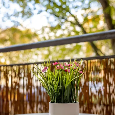 Apartment Grosse Altstadtwohnung Im Zentrum Mit Balkon - Super Lage