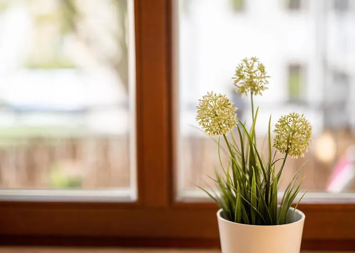 Grosse Altstadtwohnung Im Zentrum Mit Balkon - Super Lage Apartament *