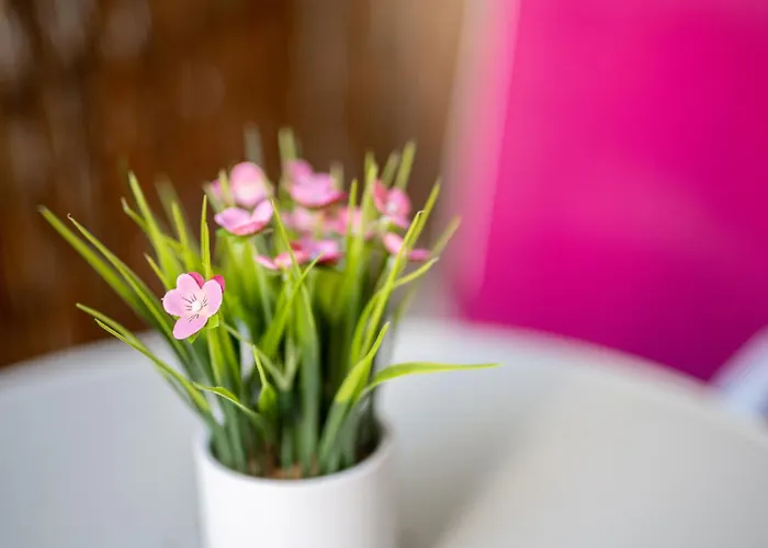 Grosse Altstadtwohnung Im Zentrum Mit Balkon - Super Lage Magdeburg